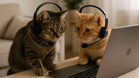 Cats are tech support agents